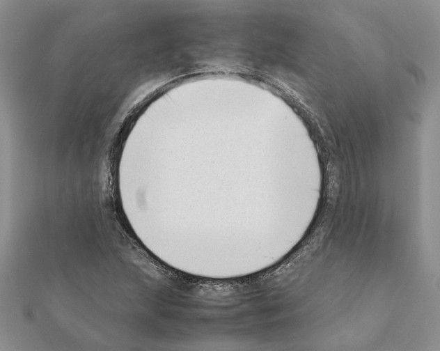 X0000111631215200908281127