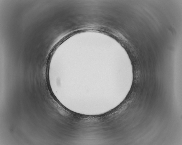 X0000111631216200908281127