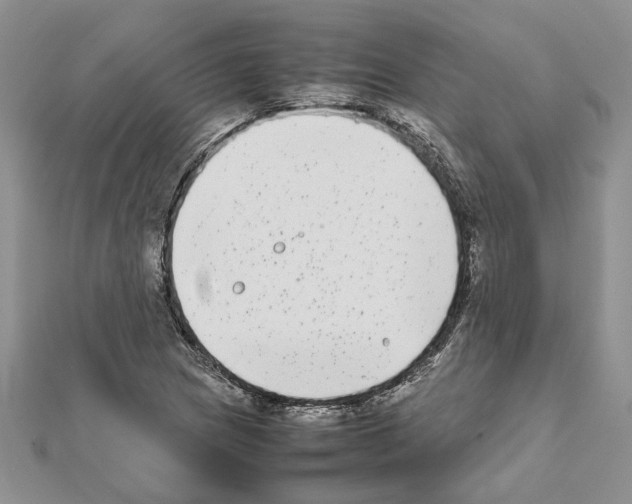 X0000111631217200908281127