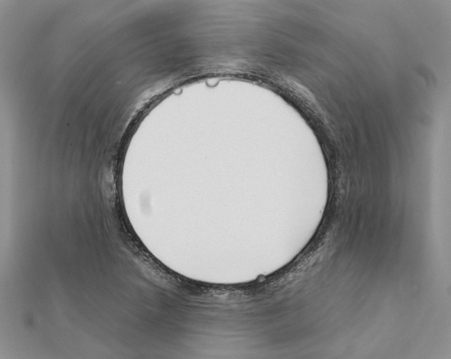 X0000111631218200908281127