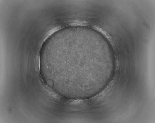X0000111631219200908281127