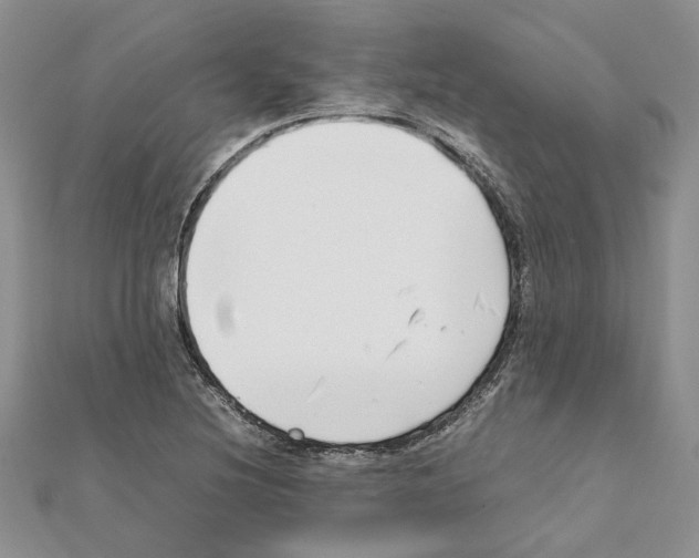 X0000111631220200908281127