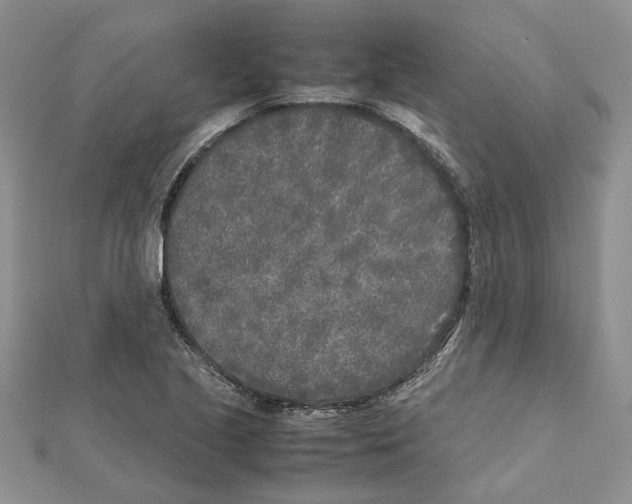 X0000111631221200908281127