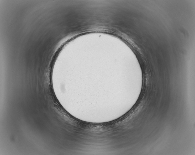 X0000111631222200908281127