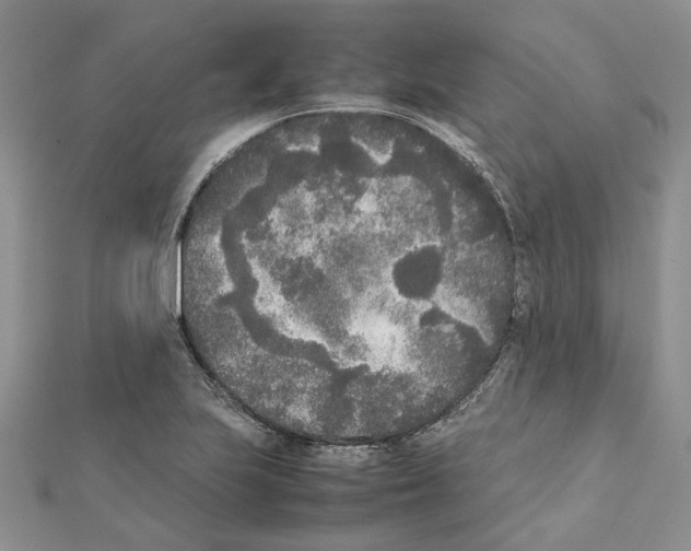 X0000111631223200908281127