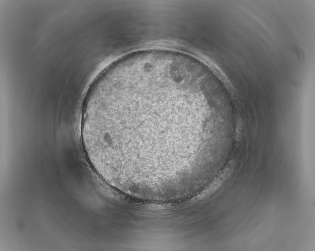 X0000111631224200908281127