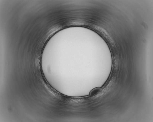 X0000111631225200908281127