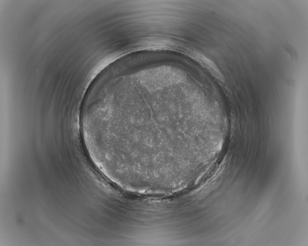 X0000111631226200908281127