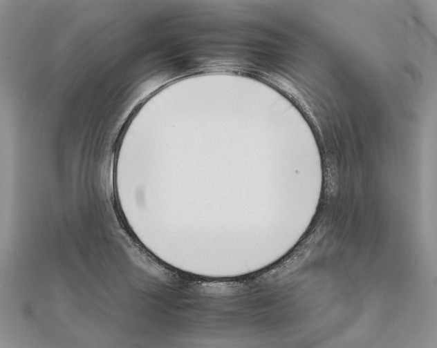 X0000111631227200908281127
