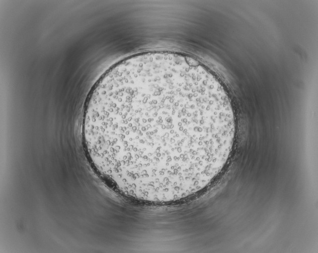 X0000111631228200908281127