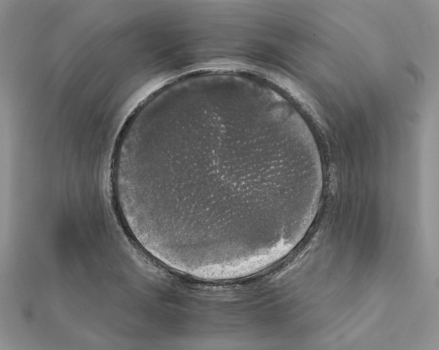 X0000111631229200908281127
