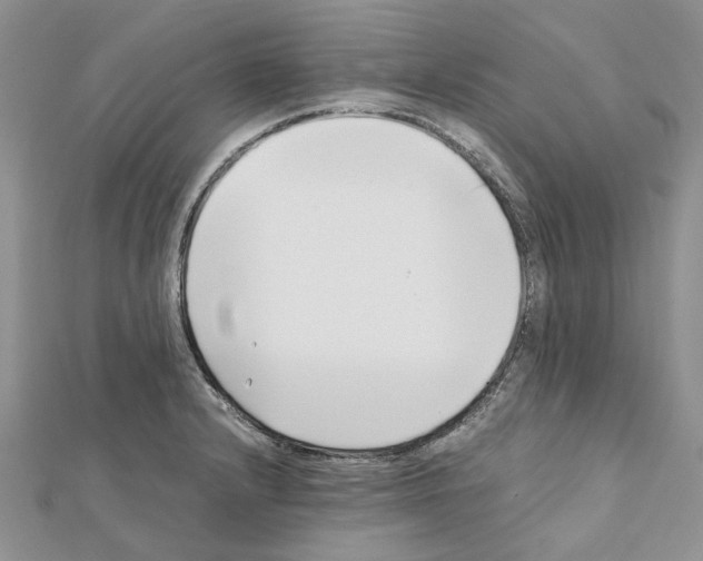 X0000111631232200908281127
