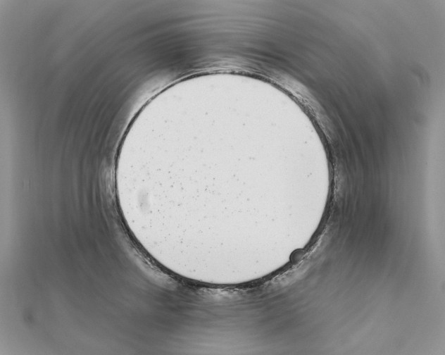X0000111631234200908281127