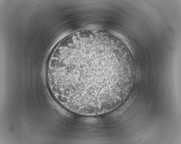 X0000111631235200908281127
