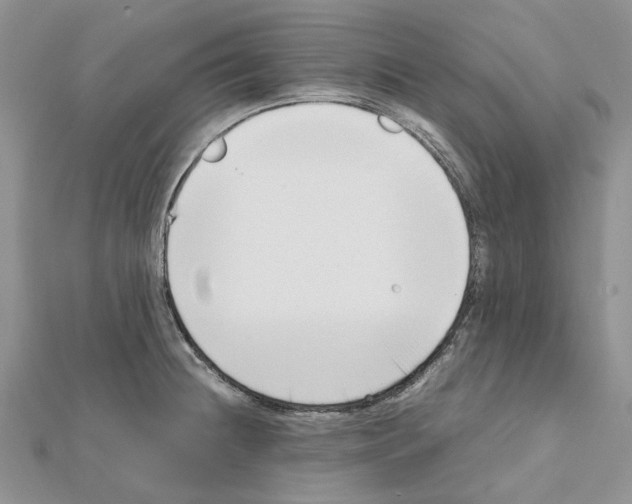 X0000111631236200908281127