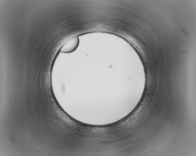 X0000111631238200908281127