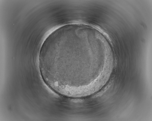 X0000111631239200908281127