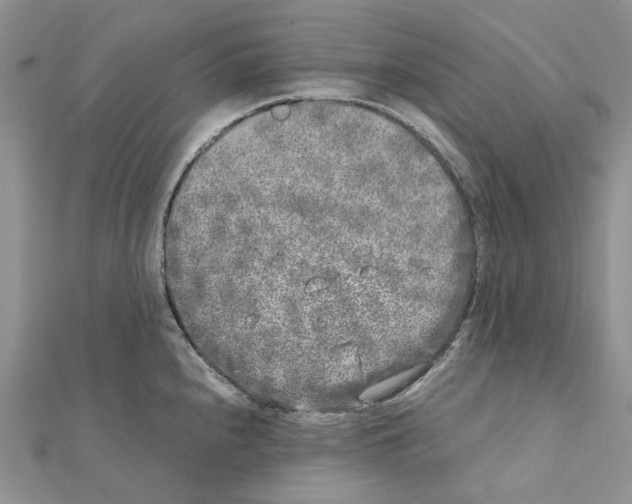 X0000111631240200908281127