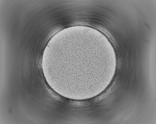 X0000111631241200908281127