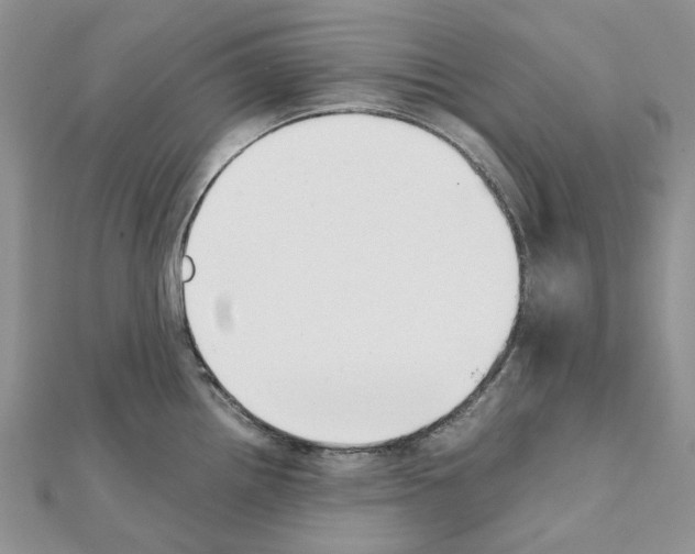 X0000111631242200908281127