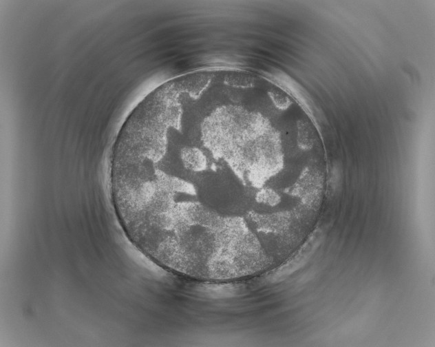 X0000111631243200908281127