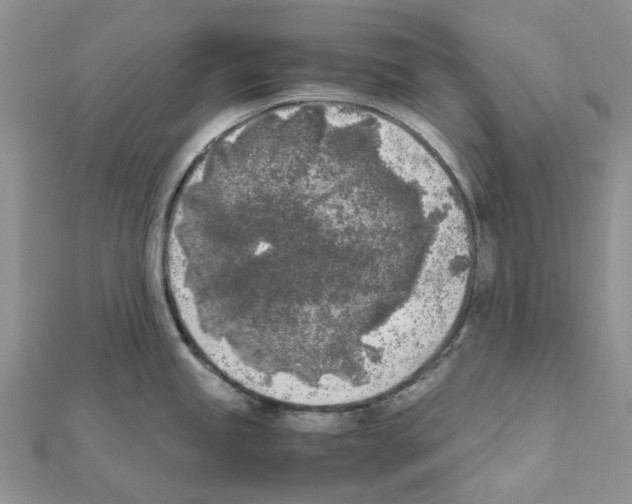 X0000111631245200908281127