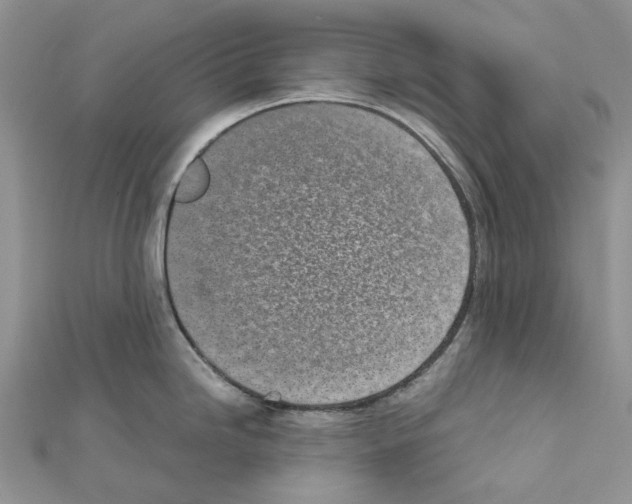 X0000111631246200908281127