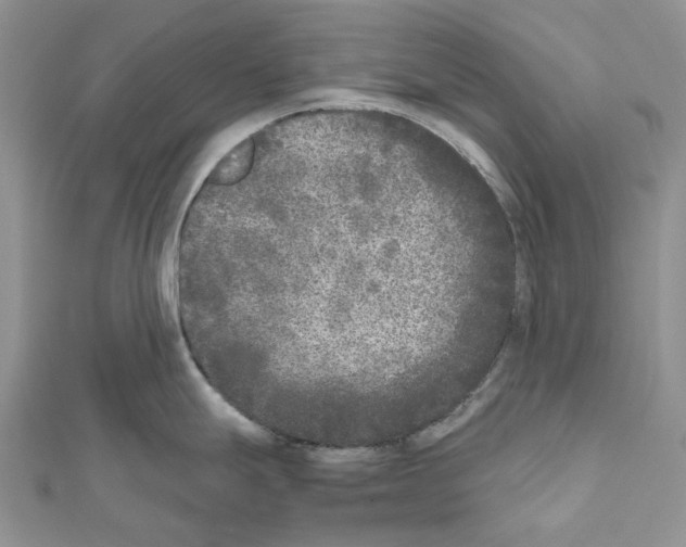X0000111631247200908281127