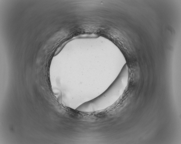 X0000111631249200908281127