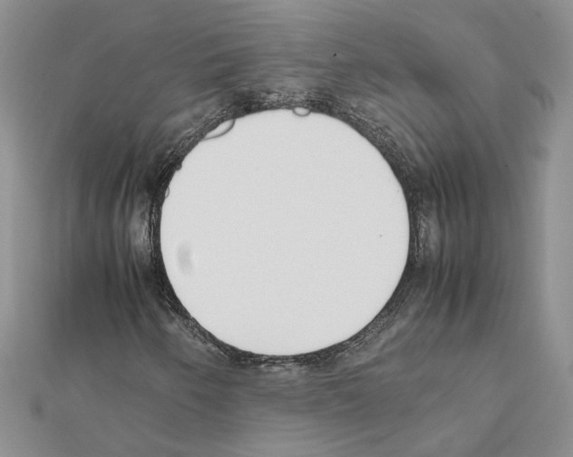 X0000111631250200908281127