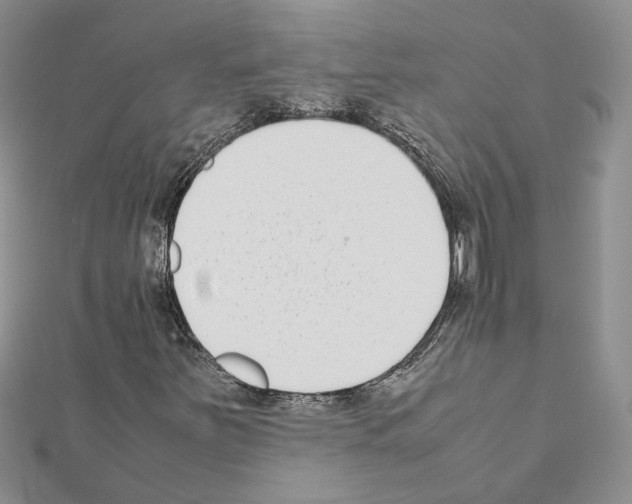 X0000111631251200908281127