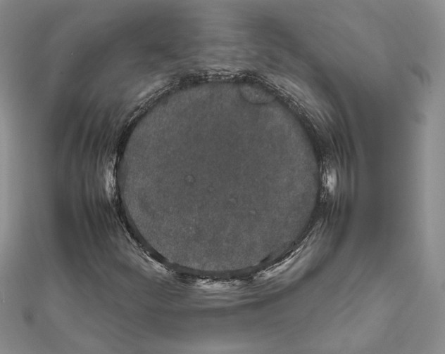 X0000111631252200908281127