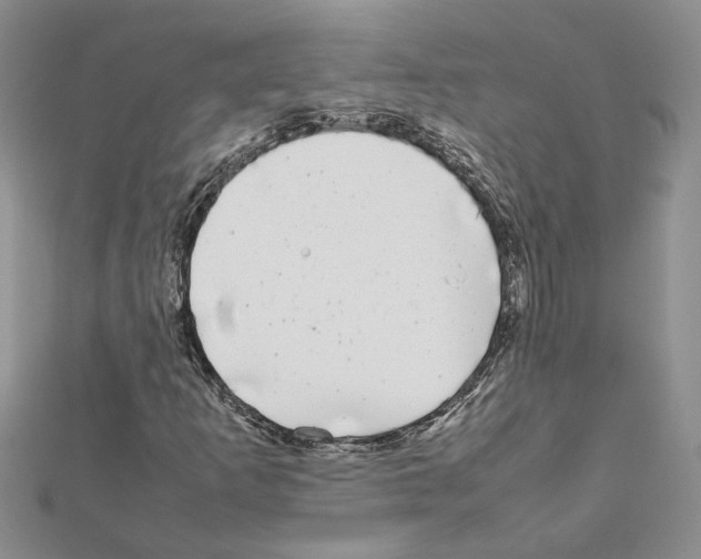 X0000111631253200908281127