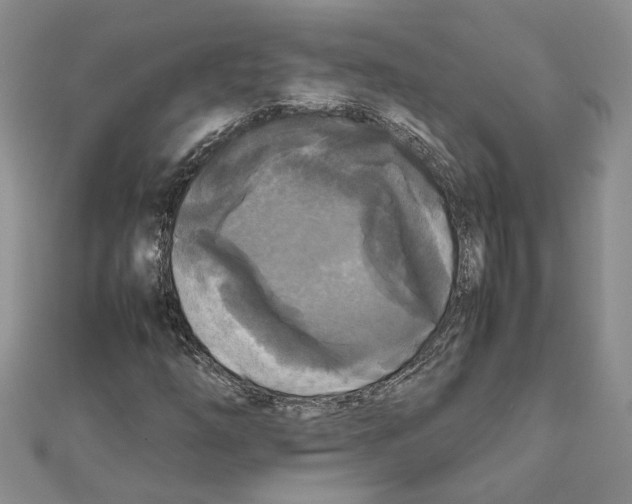 X0000111631254200908281127