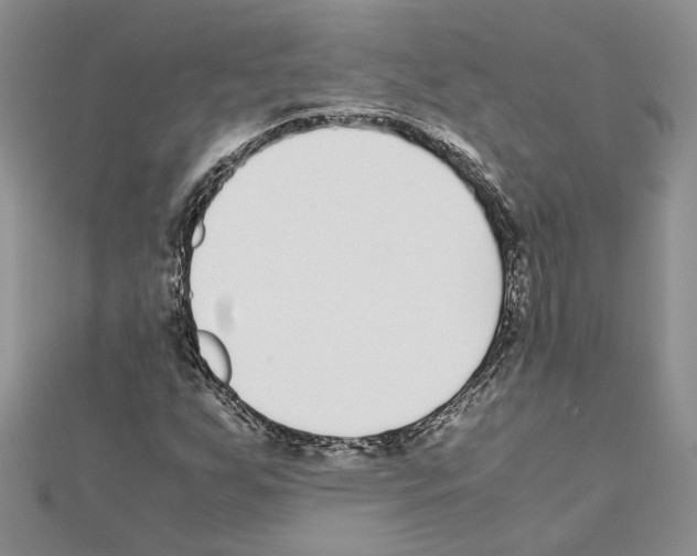 X0000111631255200908281127