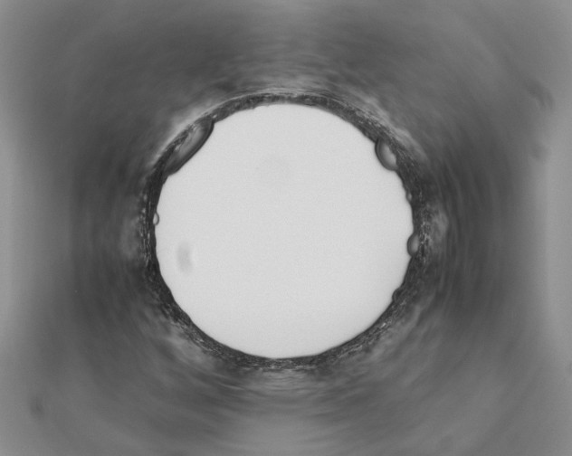 X0000111631256200908281127