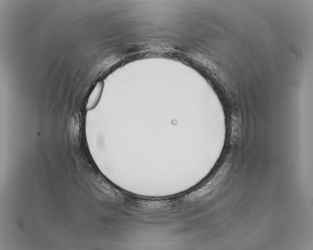 X0000111631257200908281127