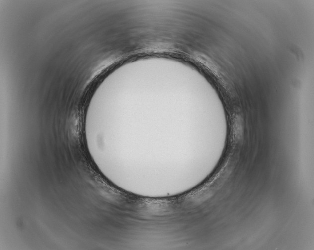 X0000111631258200908281127