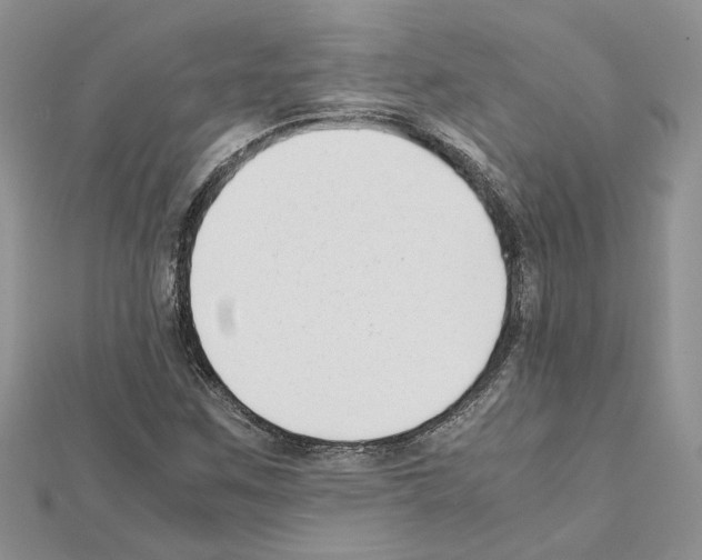 X0000111631259200908281127