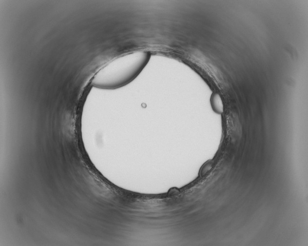 X0000111631260200908281127