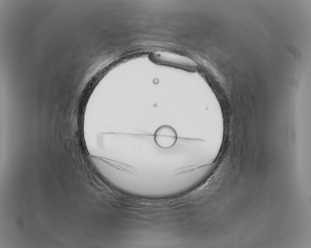 X0000111631261200908281127