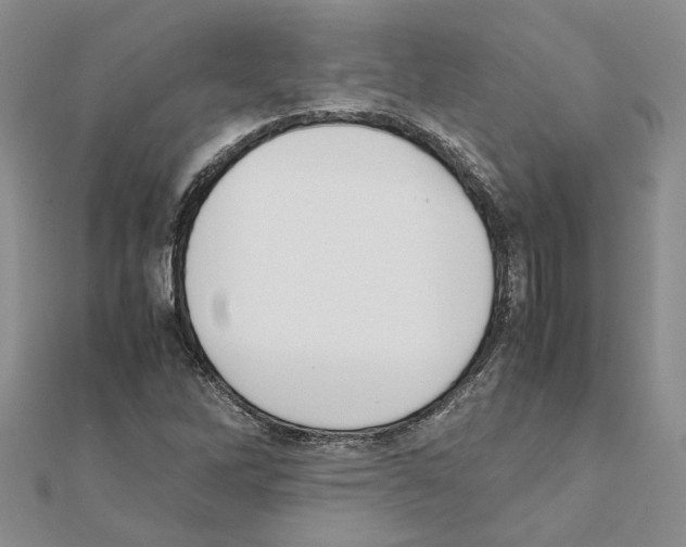 X0000111631262200908281127