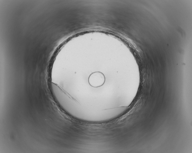 X0000111631264200908281126