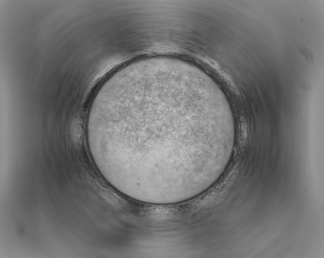 X0000111631266200908281126