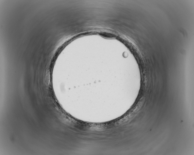X0000111631267200908281126