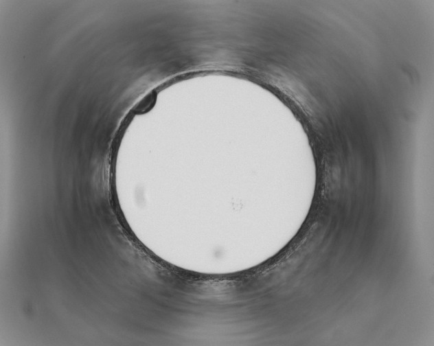 X0000111631268200908281126