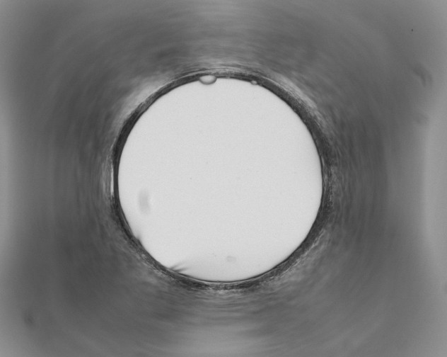 X0000111631269200908281126