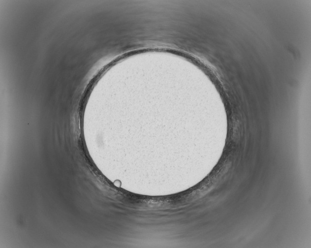 X0000111631271200908281126