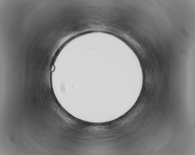 X0000111631272200908281126