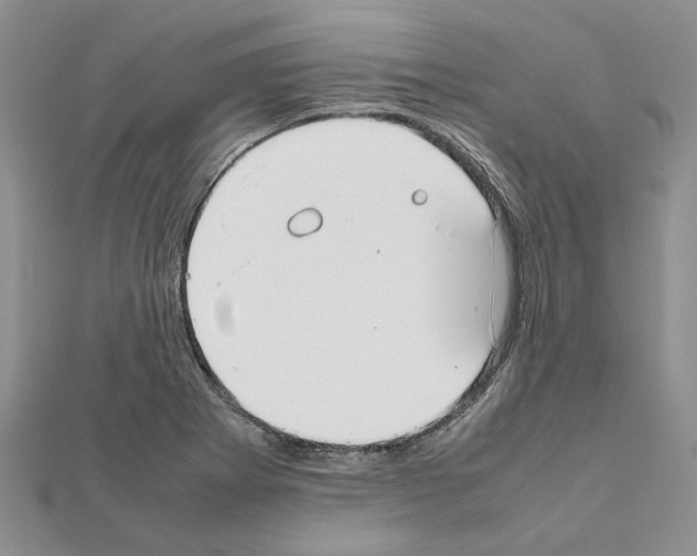 X0000111631273200908281126